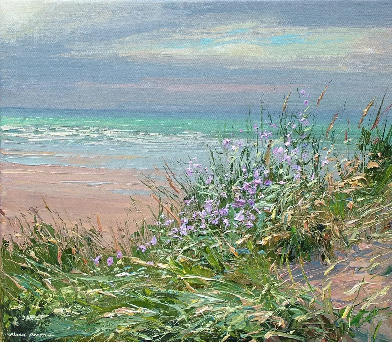 Mark Preston - seastock, braunton burrows
